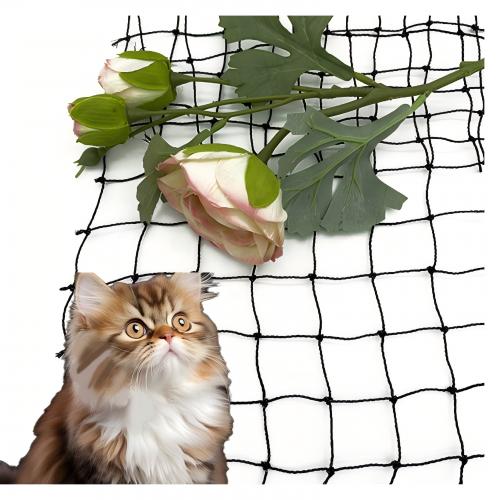 Cat Net